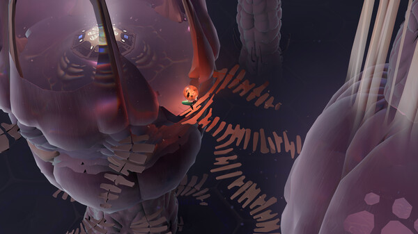 茧 v20240221（Cocoon）免安装中文版