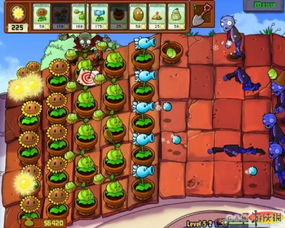 植物大战僵尸原版11关卡攻略视频